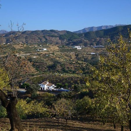 톨록스 The African House B&B 외부 사진