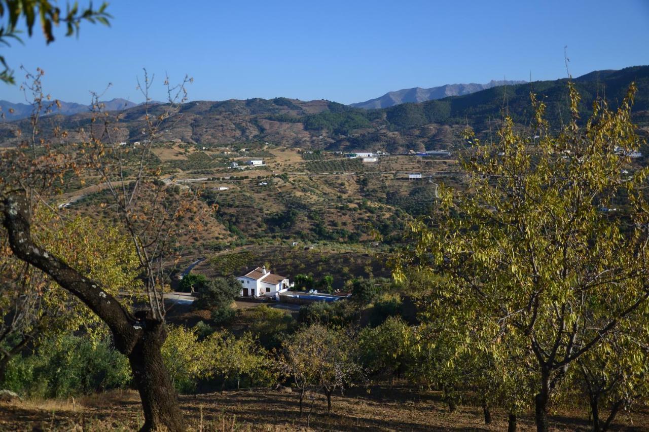 톨록스 The African House B&B 외부 사진