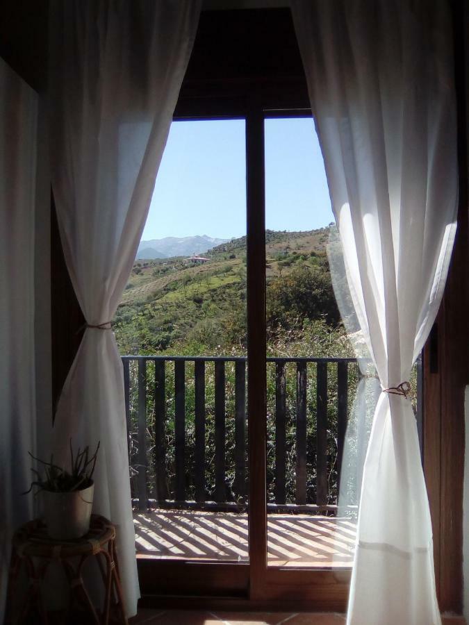 톨록스 The African House B&B 외부 사진